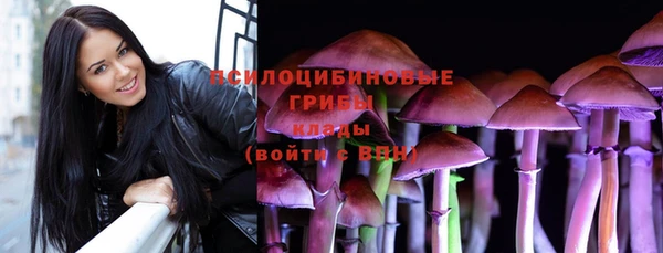 бошки Заволжье