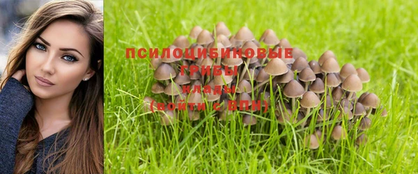 марки nbome Заводоуковск