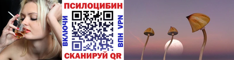 Псилоцибиновые грибы GOLDEN TEACHER  Купить закладки  Апрелевка 